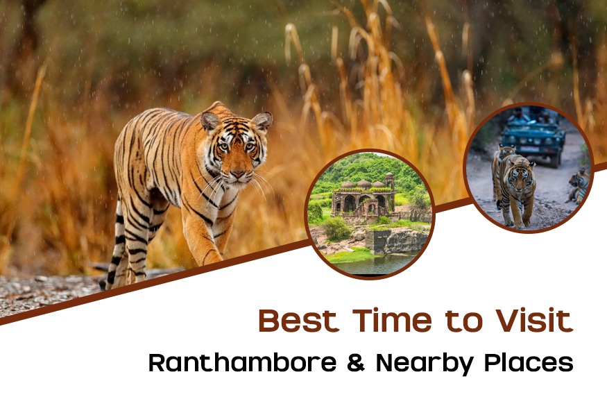 Best Time to Visit Ranthambore & Nearby Places