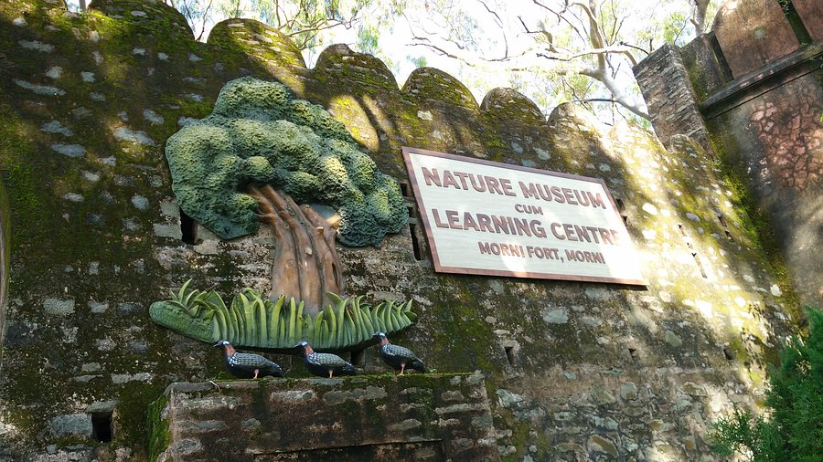 Morni Fort – A Historical Landmark